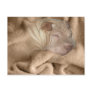 Chinese Shar Pei Camouflage, Wrinkle Hiding Spot Postcard