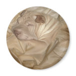 Chinese Shar Pei Camouflaged in Wrinkles Fridge Magnet