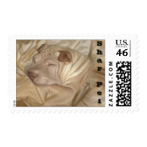 Chinese Shar Pei Camouflaged in Wrinkles Postage Stamp