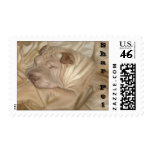 Chinese Shar Pei Camouflaged in Wrinkles Postage Stamp