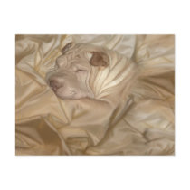 Chinese Shar Pei Camouflaged in Wrinkles Post Card