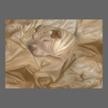 Bilder+sharpei