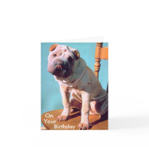 Chinese Shar-Pei cards