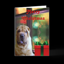 Chinese Shar-pei Christmas Cards by ArtisticJuices Chinese Shar-pei Christmas Cards