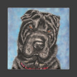 Chinese Shar-Pei Dog Art - Tia Magnet
