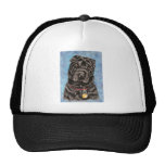 Chinese Shar-Pei Dog Art - Tia Mesh Hats
