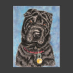 Chinese Shar-Pei Dog Art - Tia Postcards