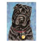 Chinese Shar-Pei Dog Art - Tia Postcards