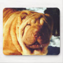 Chinese Shar-pei Mousepad by charmingcsp Chinese Shar-pei Mousepad