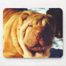 Chinese Shar-pei Mousepad