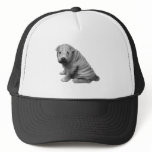 CHINESE SHAR-PEI: PENCIL REALISM: DOG HATS