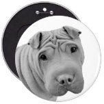 Chinese Shar-Pei Pinback Buttons