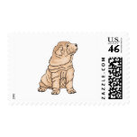 Chinese Shar Pei postage