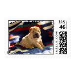 Chinese Shar-pei Postage Stamps