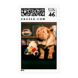 Chinese Shar-pei Puppy Stamps