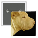 Chinese Shar-Pei Square Pin
