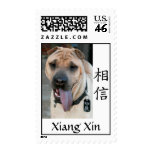 Chinese Shar Pei Stamp with Chines... - Customized
