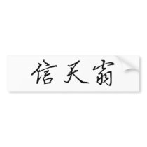 Chinese Symbol for albatross Bumper Sticker