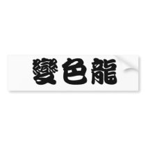 Chinese Symbol for anole, chameleon bumper stickers