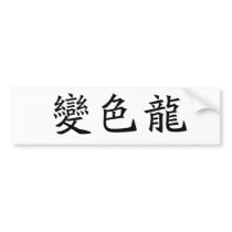 Chinese Symbol for anole, chameleon bumper stickers