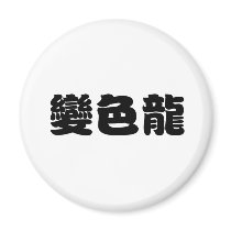 Chinese Symbol for anole, chameleon magnets