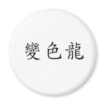 Chinese Symbol for anole, chameleon magnets