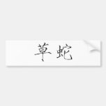 Chinese Symbol for grass snake Bumper Sticker