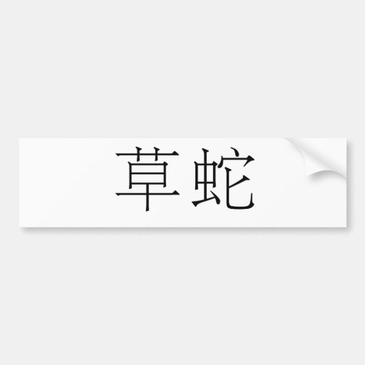 Chinese Symbol for grass snake Bumper Sticker