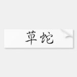 Chinese Symbol for grass snake Bumper Sticker