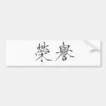 Chinese Symbol for honor Bumper Sticker