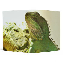 Chinese Water Dragon Binders