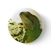 Chinese Water Dragon Buttons