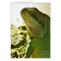 Chinese Water Dragon Greeting Card