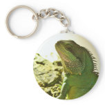 Chinese Water Dragon keychains