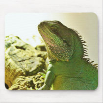 Chinese Water Dragon Mouse Pads