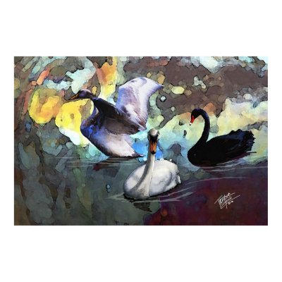 Chinese Watercolor Style Swans Swimming Print by tadlockart