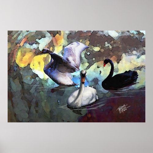 Chinese Watercolor Style Swans Swimming print