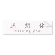 Chinese word for Missing You 10295_1.pdf Bumper Stickers