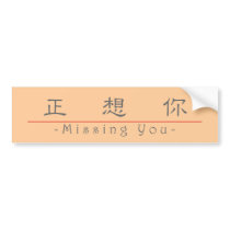 Chinese word for Missing You 10295_2.pdf Bumper Sticker