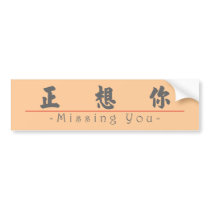 Chinese word for Missing You 10295_4.pdf Bumper Stickers