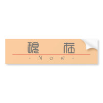 Chinese word for Now 10304_0.pdf Bumper Sticker