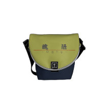 Chinese word for Ugly 10101_4.pdf Messenger Bag