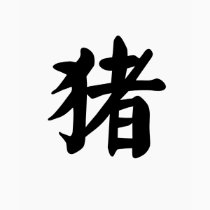 Chinese Zodiac - Pig t-shirts