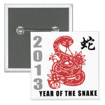 Chinese Zodiac Snake 2013 Pins