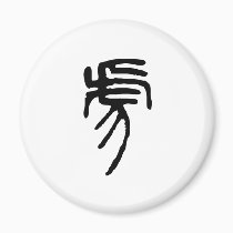 Chinese Zodiac - Tiger magnets