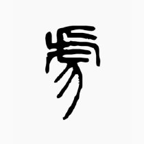 Chinese Zodiac - Tiger t-shirts