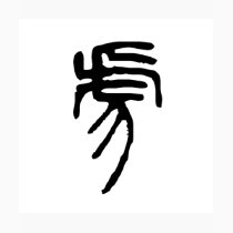 Chinese Zodiac - Tiger t-shirts