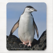 Chinnie Mousemat Mousepad