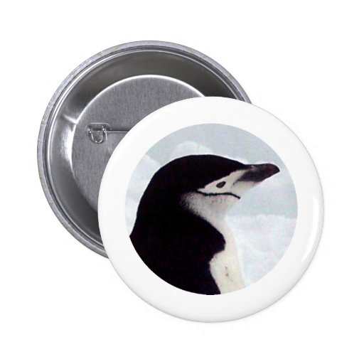 Chinstrap Penguin Portrait Button