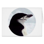 Chinstrap Penguin Portrait Greeting Cards
